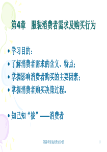 服装消费者分析（PPT44页)