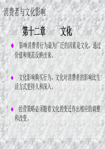 消费者与文化影响