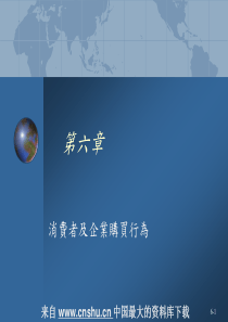 消费者及企业购买行为(PPT 32页)(1)