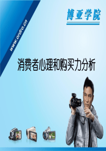 消费者心理及购买力分析