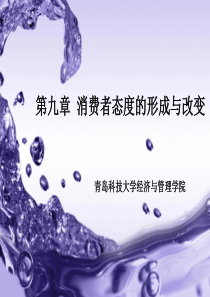 消费者态度的形成与改变