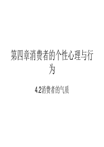 消费者的个性