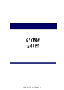 SAP项目管理模板
