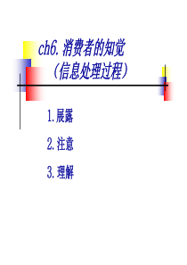消费者的知觉 6