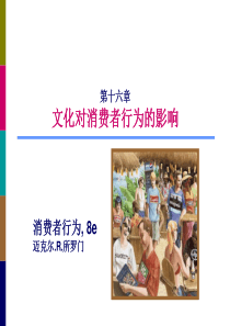 消费者行为学(第8版)第16章文化对消费者行为的影响