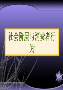 消费者行为学课件 社会阶层