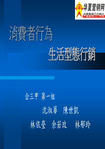 消费者行为生活形态行销