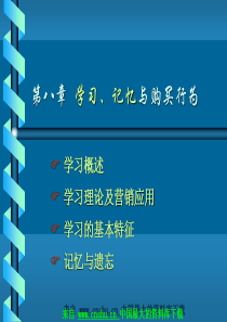 消费者行为第8章——学习、记忆与购买行为（PPT 36磁）