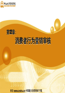 消费者行为营销审核(ppt 15)
