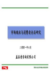 盖洛普---市场现状与消费者分层研究