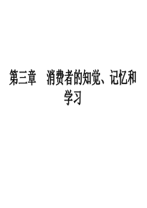 第3章消费者的知觉记忆与学习