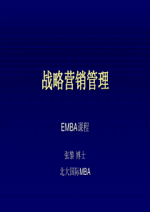 北京大学EMBA教战略营销管理