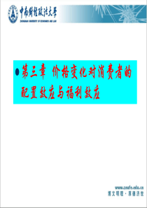 第三章价格变化对消费者的配置效应与福利效应