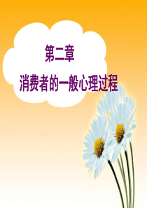 第二章 消费者的一般心理过程