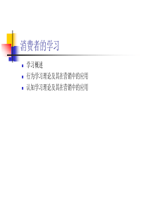 第五章消费者的学习(3)