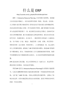 什么是ERP