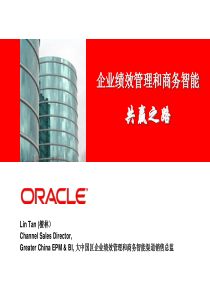大中国区企业绩效管理和商务智能渠道销售总监