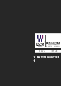 重庆融科贰号地项目现实消费者定量报告