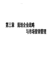 市场营销学第03章战略规划与市场营销管理过程
