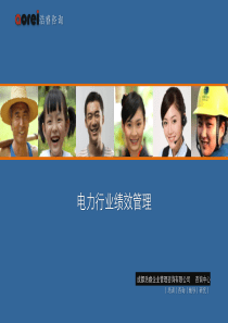 电力行业绩效管理V1