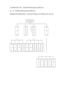 营销管理系统改造的过度期方案（DOC 86页）