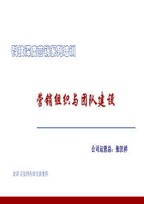 营销管理体系与团队建设