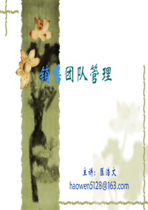 销售团队管理(PPT)
