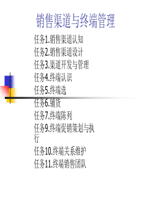 销售渠道与终端管理