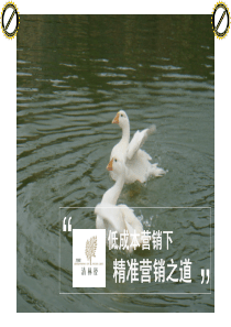 万科清林径_低成本营销下精准营销之道_案例分享_39页