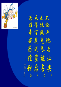全国营销大赛参赛案例PPT--小蜜蜂