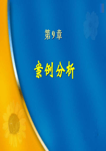 ch9 软件工程案例分析