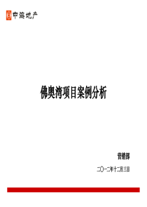 大型社区项目案例分析_33p_XXXX年_营销推广策略