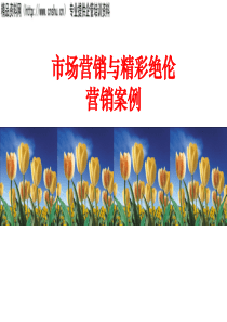 市场营销与精彩绝伦营销案例（PPT57页）(2)