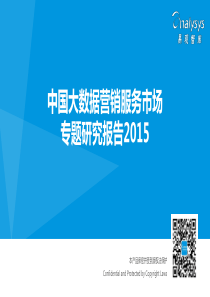 中国大数据营销服务市场专题研究报告0128