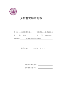 市场营销案例 罗浩