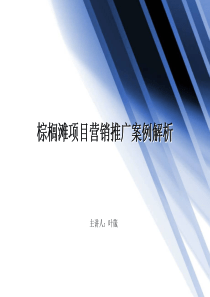 思源_北京棕榈滩项目营销推广案例解析_111页