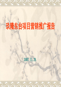 北京玖隆东台项目营销推广报告