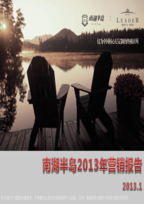 南湖半岛XXXX年营销报告0118