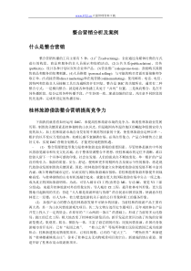 整合营销分析及案例