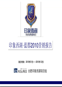 合肥印象西湖·蓝郡XXXX营销报告