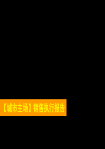 城市主场销售执行报告