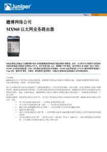 MX960以太网业务路由器