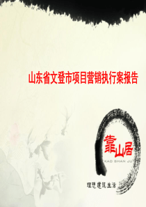 山东文登市项目营销报告101