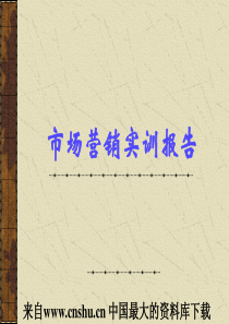 市场营销实训报告(ppt 17)