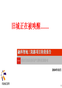 德思勤-融科智地武汉三阳路项目营销报告63PPT-16M