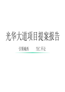 成都仁和春天大道项目营销提案报告90页