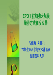EPO工程细胞培养方法和反应器