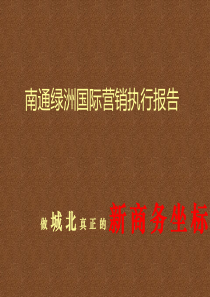 房地产项目营销执行报告