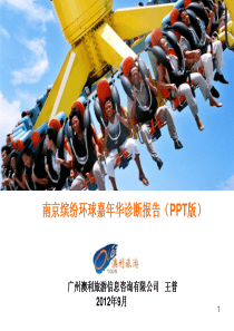 旅游公园营销诊断咨询报告