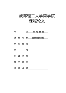 老板电器营销案例分析报告（DOC14页）